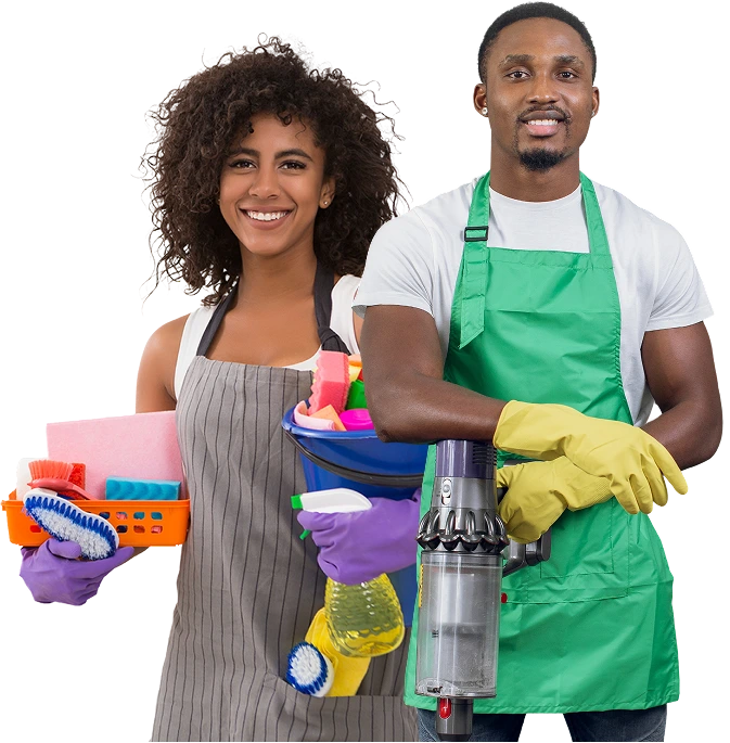 Professional Cleaner